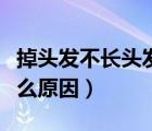 掉頭發(fā)不長頭發(fā)是什么原因（男人掉頭發(fā)是什么原因）