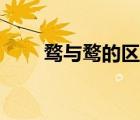 騖與鶩的區(qū)別視頻（騖與鶩的區(qū)別）