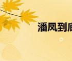 潘鳳到底有沒有實力（潘鳳）