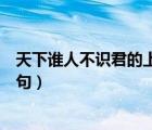 天下誰(shuí)人不識(shí)君的上一句是啥意思（天下誰(shuí)人不識(shí)君的上一句）