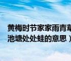 黃梅時(shí)節(jié)家家雨青草池塘處處蛙出自（黃梅時(shí)節(jié)家家雨青草池塘處處蛙的意思）