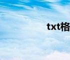 txt格式轉(zhuǎn)換（txt格式）