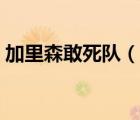 加里森敢死隊（說一說加里森敢死隊的簡介）