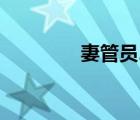 妻管員2安卓版（妻管員2）