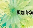 貝加爾湖什么時(shí)候不屬于中國(guó)