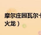 摩爾莊園瓦爾卡火龍能瞬移（摩爾莊園瓦爾卡火龍）