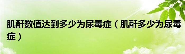 肌酐數值達到多少為尿毒癥（肌酐多少為尿毒癥）