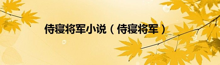 侍寢將軍小說（侍寢將軍）