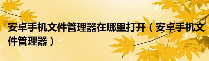 安卓手機(jī)文件管理器在哪里打開（安卓手機(jī)文件管理器）
