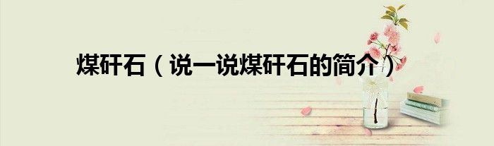 煤矸石（說一說煤矸石的簡介）