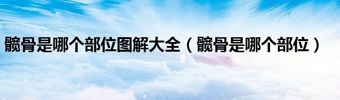 髖骨是哪個部位圖解大全（髖骨是哪個部位）