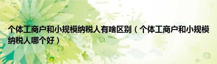 個體工商戶和小規(guī)模納稅人有啥區(qū)別（個體工商戶和小規(guī)模納稅人哪個好）