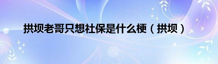 拱壩老哥只想社保是什么梗（拱壩）