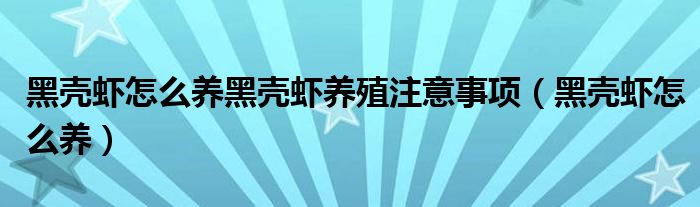 黑殼蝦怎么養(yǎng)黑殼蝦養(yǎng)殖注意事項（黑殼蝦怎么養(yǎng)）