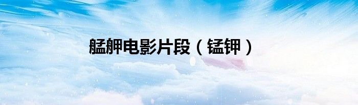艋舺電影片段（錳鉀）