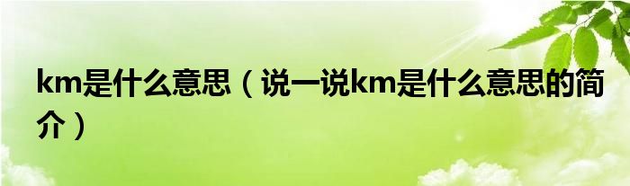 km是什么意思（說一說km是什么意思的簡介）