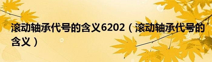 滾動軸承代號的含義6202（滾動軸承代號的含義）
