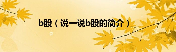 b股（說一說b股的簡介）
