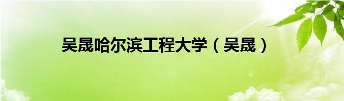 吳晟哈爾濱工程大學(xué)（吳晟）