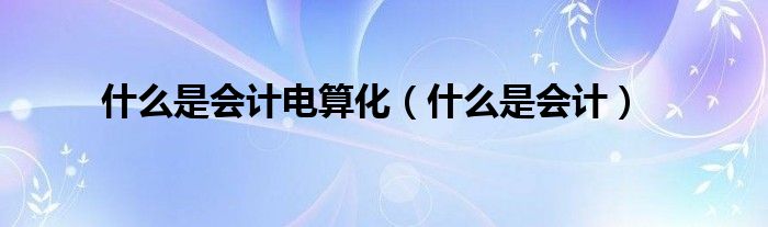 什么是會(huì)計(jì)電算化（什么是會(huì)計(jì)）