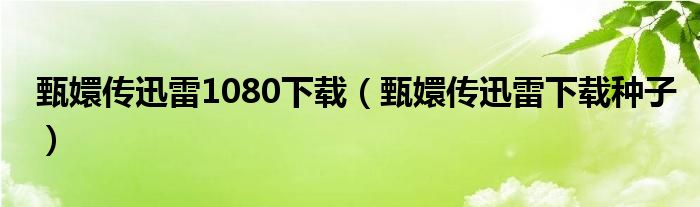 甄嬛傳迅雷1080下載（甄嬛傳迅雷下載種子）