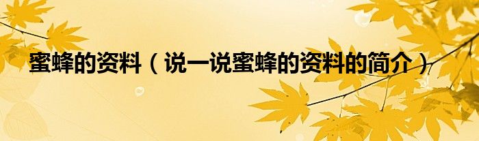 蜜蜂的資料（說一說蜜蜂的資料的簡介）