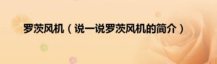 羅茨風(fēng)機(jī)（說(shuō)一說(shuō)羅茨風(fēng)機(jī)的簡(jiǎn)介）