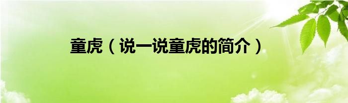 童虎（說一說童虎的簡介）
