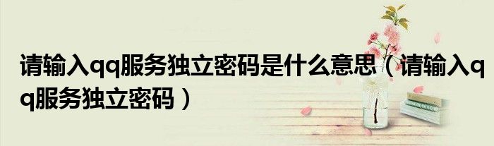 請輸入qq服務(wù)獨立密碼是什么意思（請輸入qq服務(wù)獨立密碼）