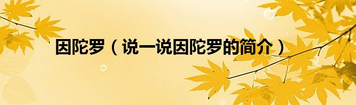 因陀羅（說一說因陀羅的簡(jiǎn)介）