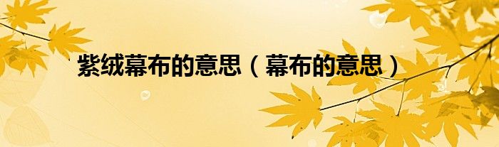 紫絨幕布的意思（幕布的意思）