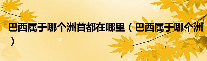 巴西屬于哪個(gè)洲首都在哪里（巴西屬于哪個(gè)洲）