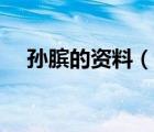 孫臏的資料（說一說孫臏的資料的簡介）