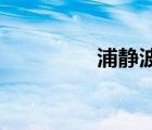 浦靜波 簡(jiǎn)歷（浦波簡(jiǎn)歷）