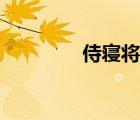 侍寢將軍小說（侍寢將軍）