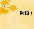 阿拉（說一說阿拉的簡介）