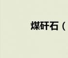 煤矸石（說一說煤矸石的簡(jiǎn)介）