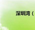 深圳灣（說一說深圳灣的簡(jiǎn)介）