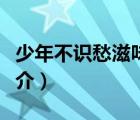 少年不識(shí)愁滋味（說一說少年不識(shí)愁滋味的簡(jiǎn)介）