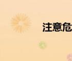 注意危險小說（注意危險）