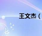 王文杰（說一說王文杰的簡介）