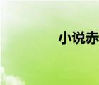 小說赤雪情殤（赤雪情殤）