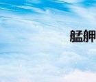 艋舺電影片段（錳鉀）