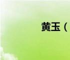 黃玉（說一說黃玉的簡(jiǎn)介）