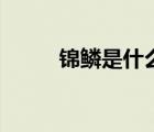 錦鱗是什么意思（錦鱗蚦是什么）