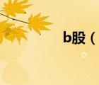 b股（說一說b股的簡介）
