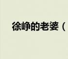 徐崢的老婆（說一說徐崢的老婆的簡介）