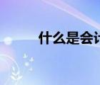 什么是會(huì)計(jì)電算化（什么是會(huì)計(jì)）