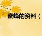 蜜蜂的資料（說一說蜜蜂的資料的簡介）