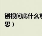 刨根問(wèn)底什么意思解釋一下（刨根問(wèn)底什么意思）